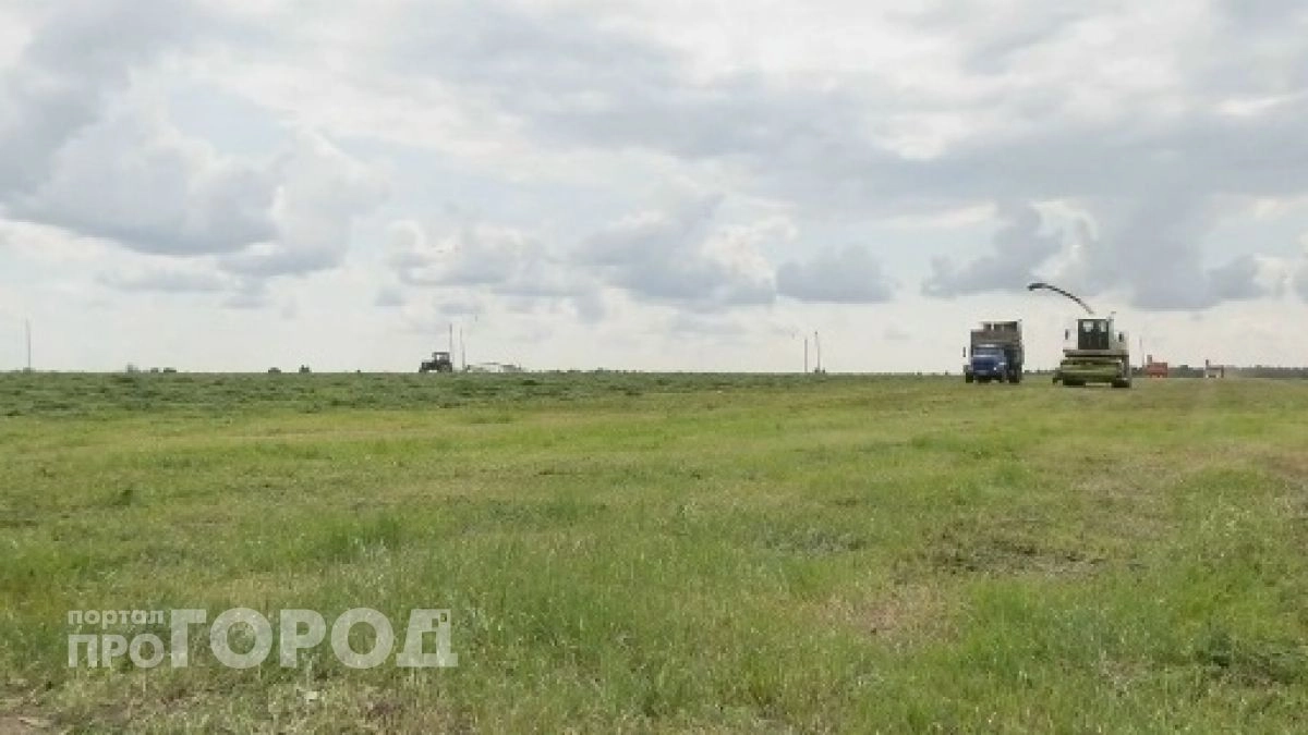 Восемьдесят две тысячи гектаров зерновых собрали в Марий Эл