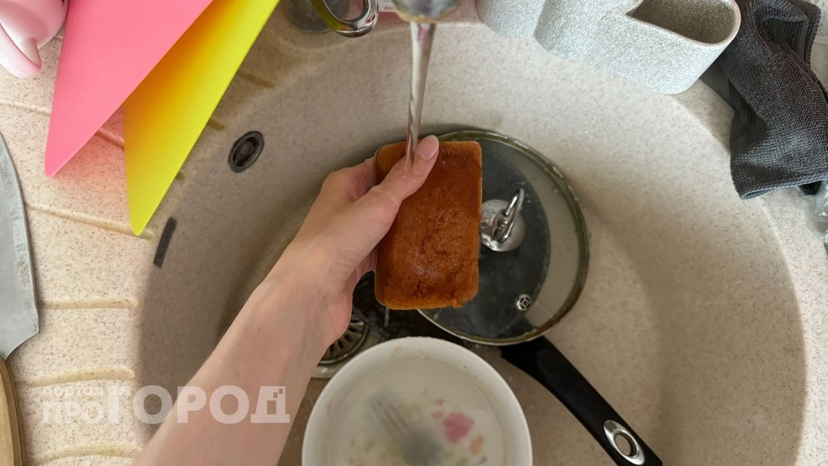 Раз в неделю или раз в месяц: микробиолог объяснил, как часто нужно менять кухонную губку