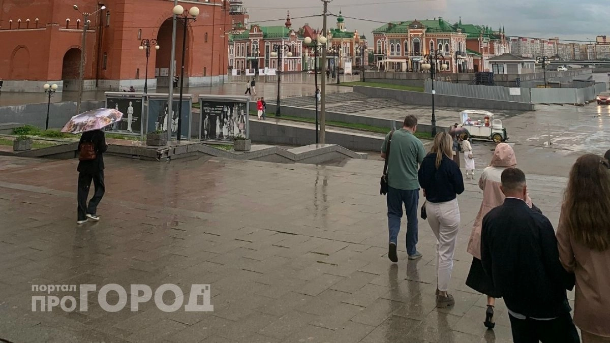 Марий Эл вошла в число лидеров по снижению неформальной занятости