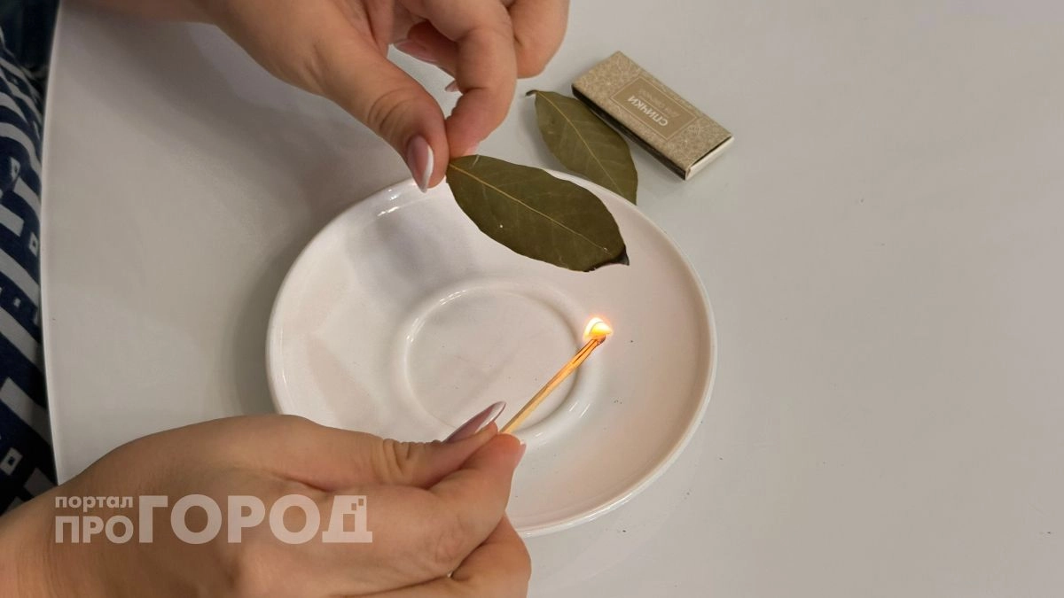 Лавровый лист скупаю вовсе не для супа: поджигаю его на блюдце - радуюсь хитрости весь октябрь