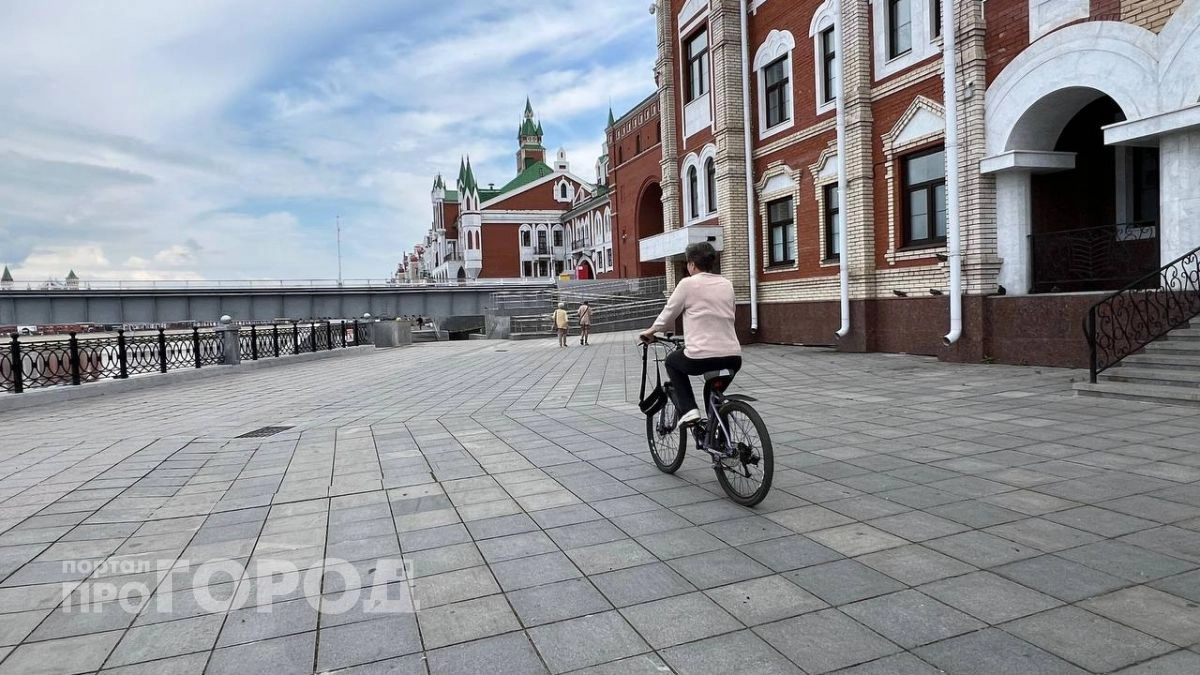 В Йошкар-Оле задержали охотника за велосипедными колесами
