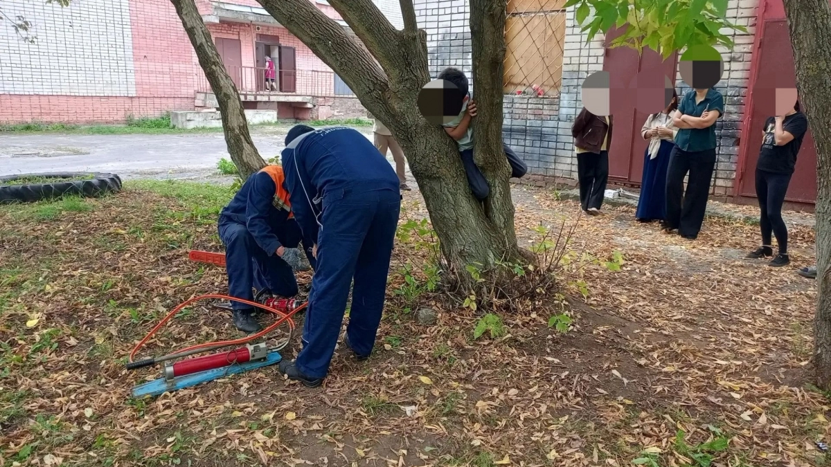 В Йошкар-Оле спасли мальчика, застрявшего между деревьями