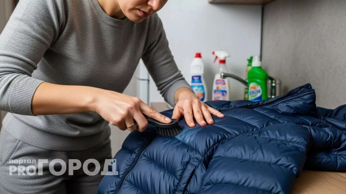 Беру две вещи с кухни - пуховик чистый через пять минут: простой лайфхак, доступный каждому