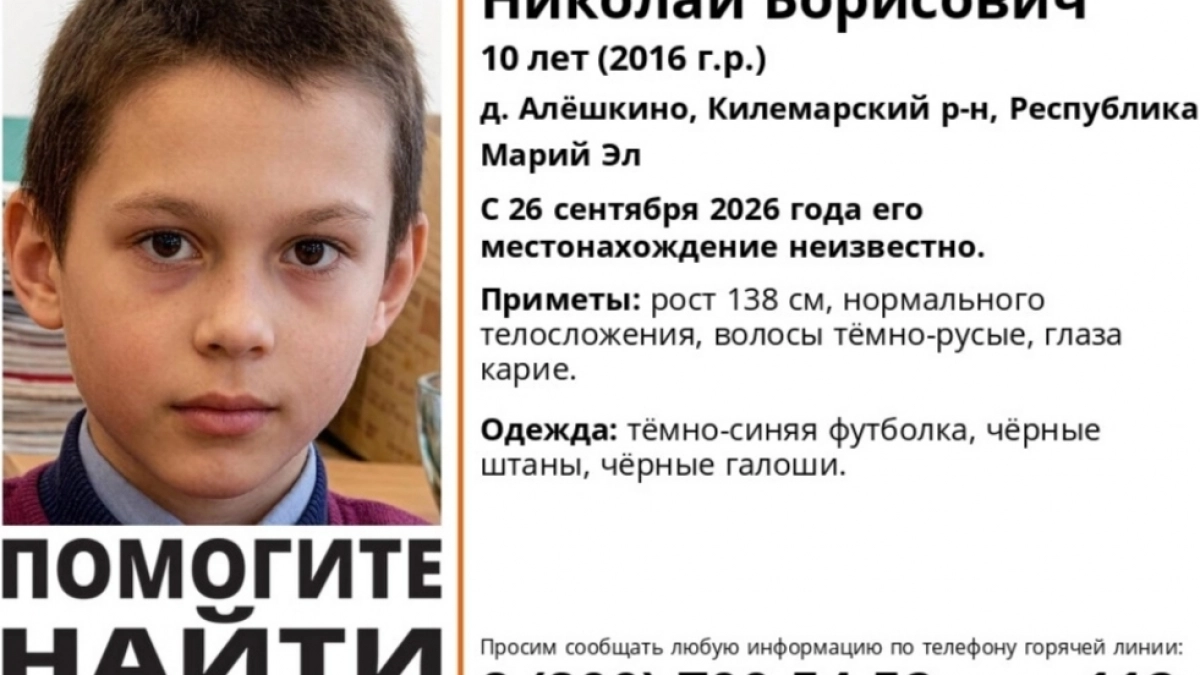 В Килемарском округе в лесу пропал десятилетний ребенок