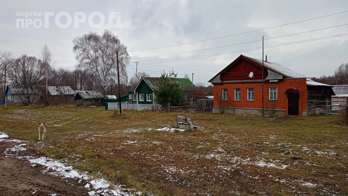 Урожай скорее укрывать: синоптики предупредили об аномальных заморозках в октябре