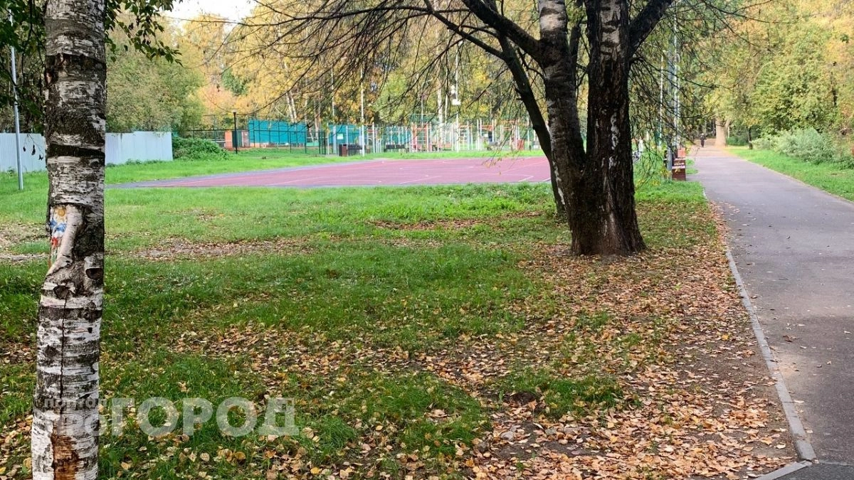 В Марий Эл сентябрь стал вторым самым тёплым за почти 90 лет