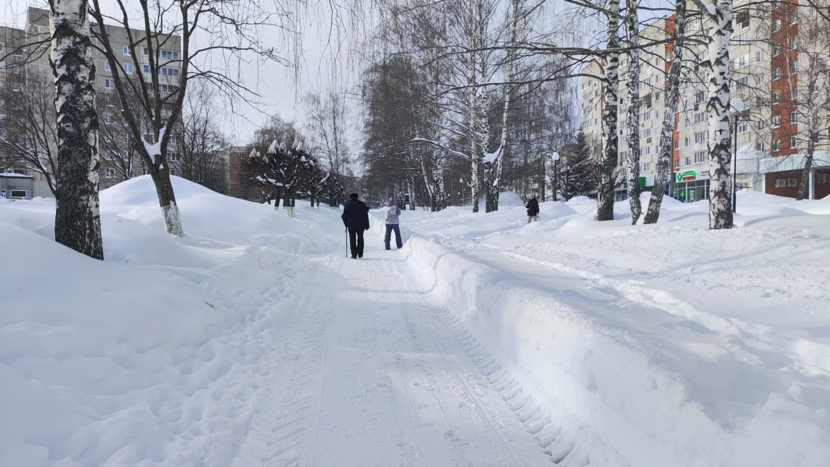 Когда ждать настоящую климатическую зиму и сугробы: специалисты предупредили об аномалиях
