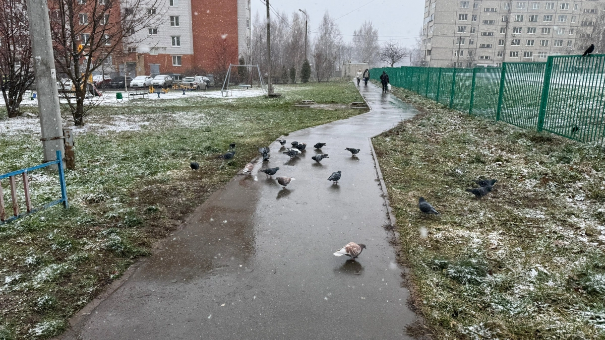Снег накроет резко и без стука: первые регионы, которые замерзнут уже в ближайшие дни