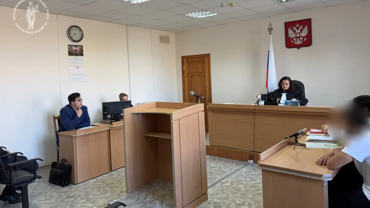 В Марий Эл судят мужчину, который замахнулся топором на участкового