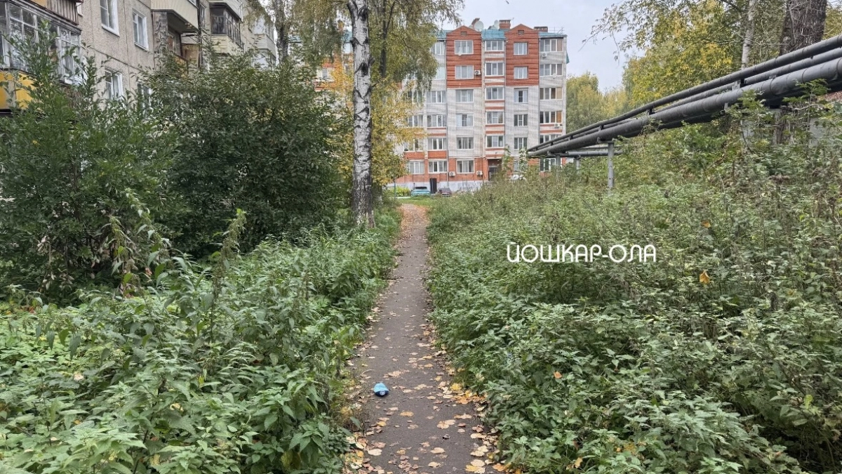 Короткий путь к школе №10 в Йошкар Оле зарос травой и ямами