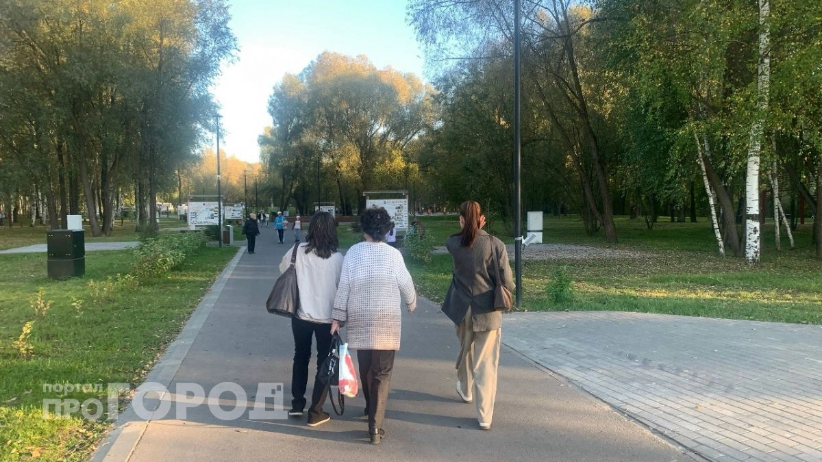 Жителям Марий Эл начали приходить уведомления от налоговой
