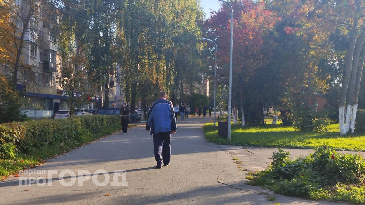 Алиментщик из Моркинского района пойдет под суд за брошенного ребенка