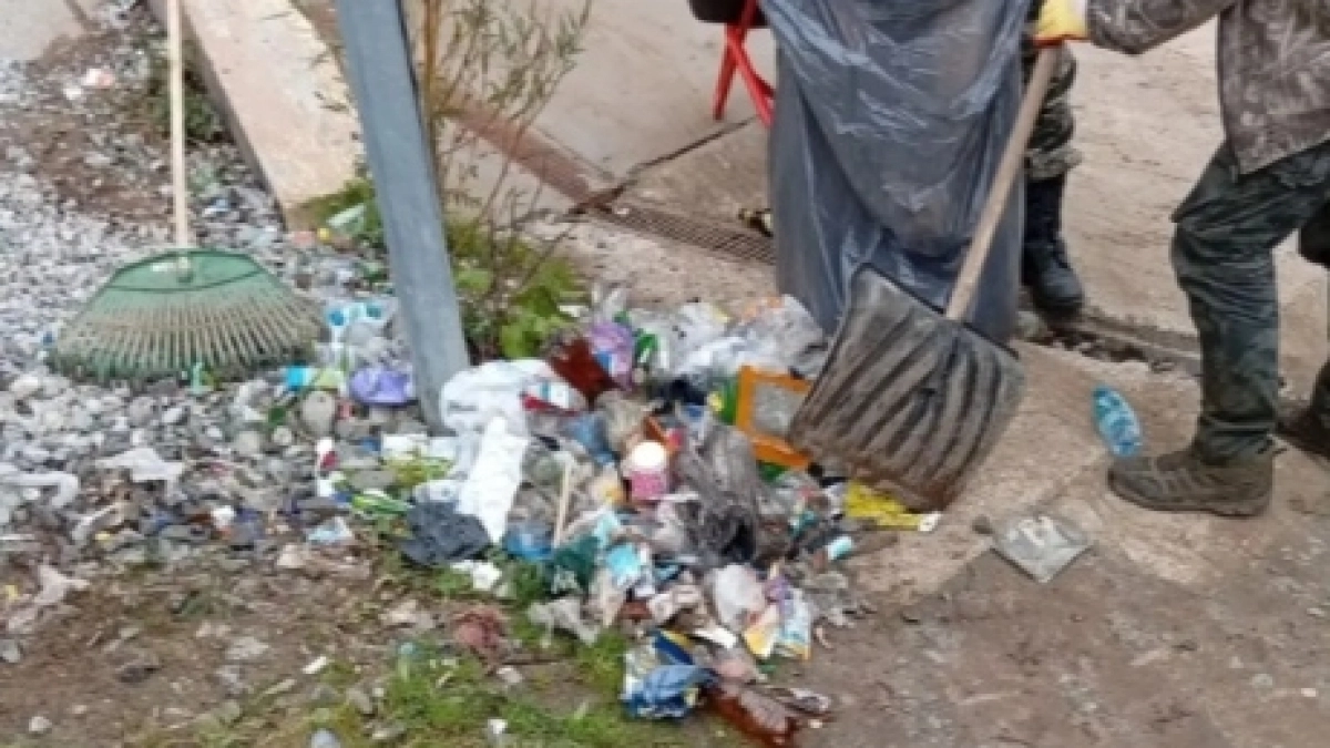 Жительница Йошкар-Олы помогла убрать свалку в Сосновой роще