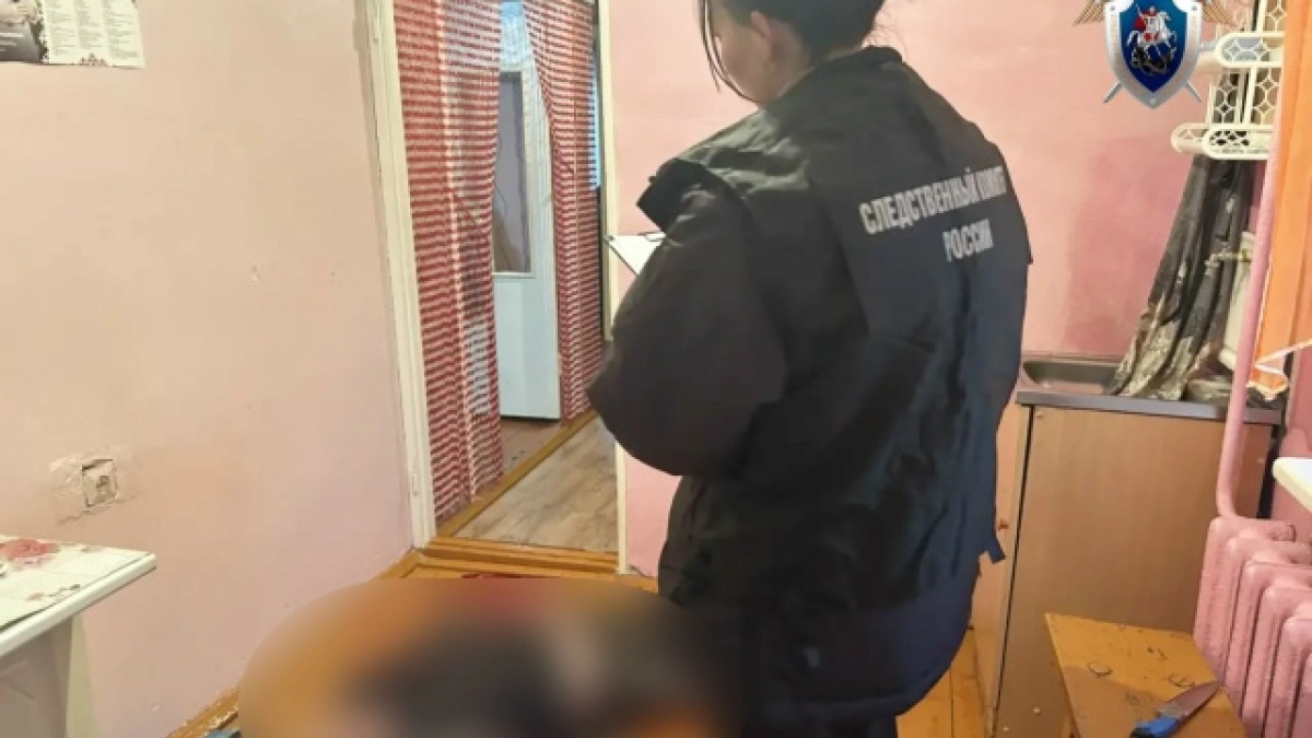 Пенсионер из марийского села зарезал гостя на кухне во время утренней попойки