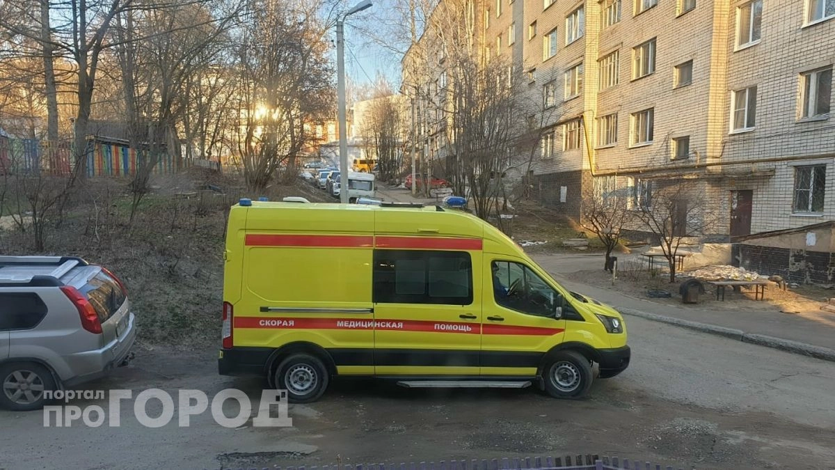Мышиная лихорадка отправила на больничные койки 10 жителей Марий Эл