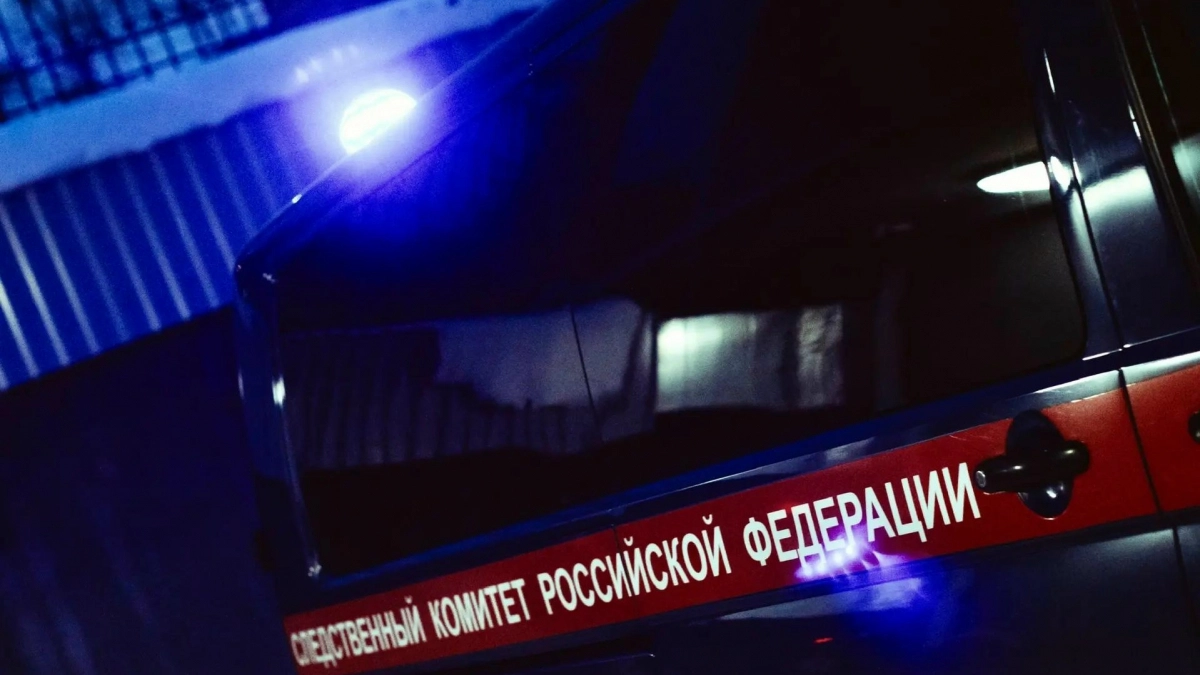 Мужчину, обвиняемого в совершении преступления в отношении малолетней девочки, заключили под стражу