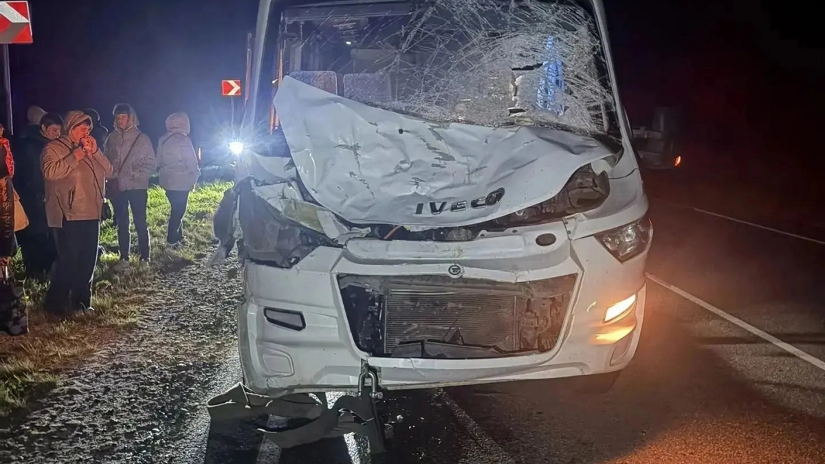 Полный туристов автобус из Йошкар-Олы сбил лося на ночной трассе