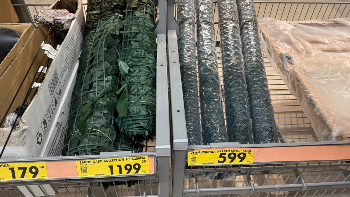 Скупаю остатки сетки-рабицы в “Чижике”, но не для забора: плету из неё каркасы для вьющихся растений - урожай растет в разы 