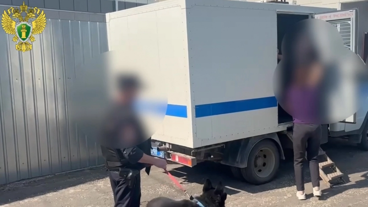 Забила стулом и молотком и двое суток прятала тело: жительницу Моркинского района отдадут под суд за жестокое убийство