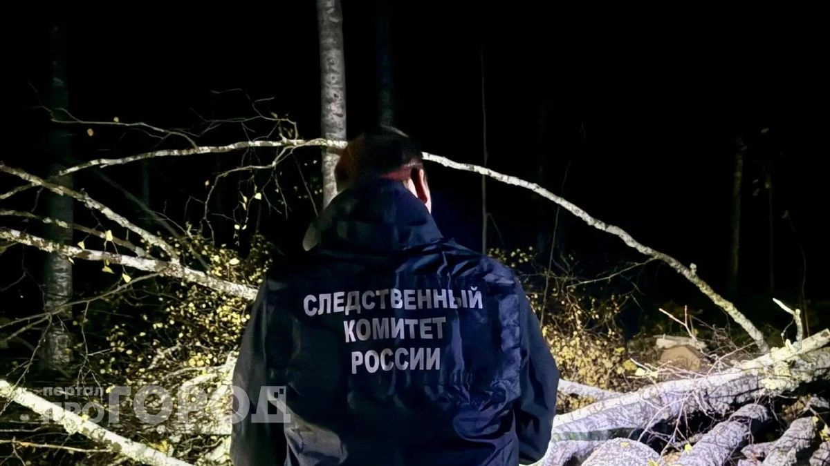 Ствол рухнул на лесоруба и задавил его насмерть в Марий Эл