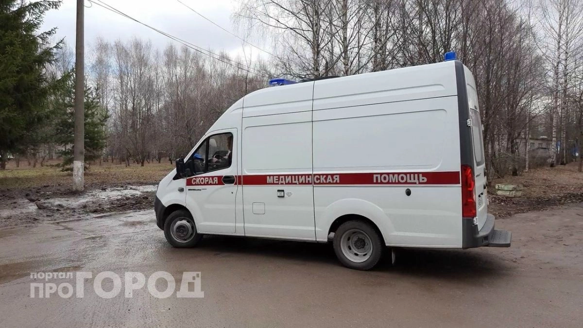 В быту, в лесу и на даче: 8 жителей Марий Эл подхватили опасную лихорадку