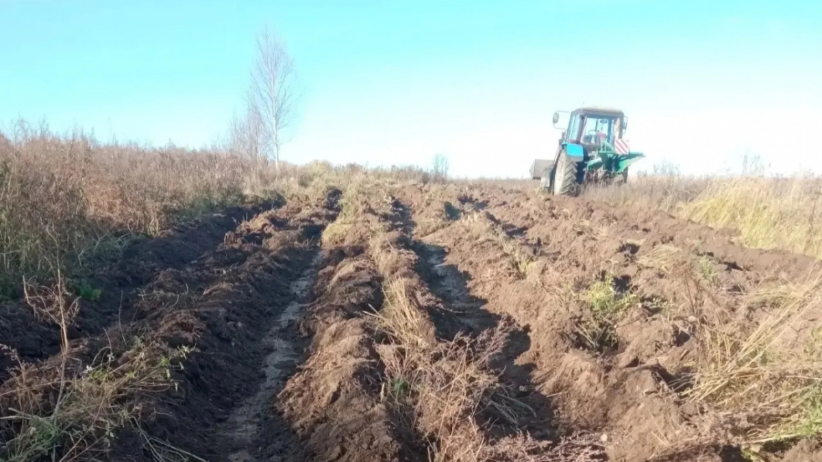 В Йошкар-Оле и пригородных деревнях начали обновлять противопожарные полосы