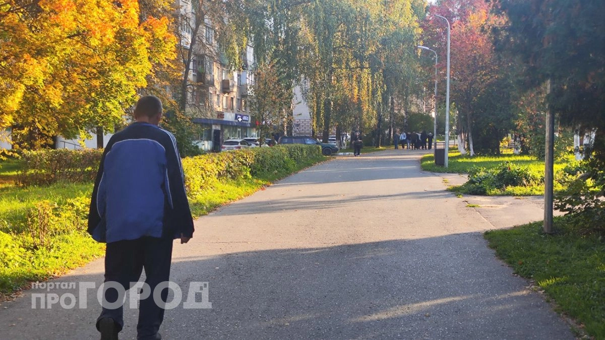 Житель Звениговского района лишился имущества из-за обмана соцзащиты на 350 тысяч рублей