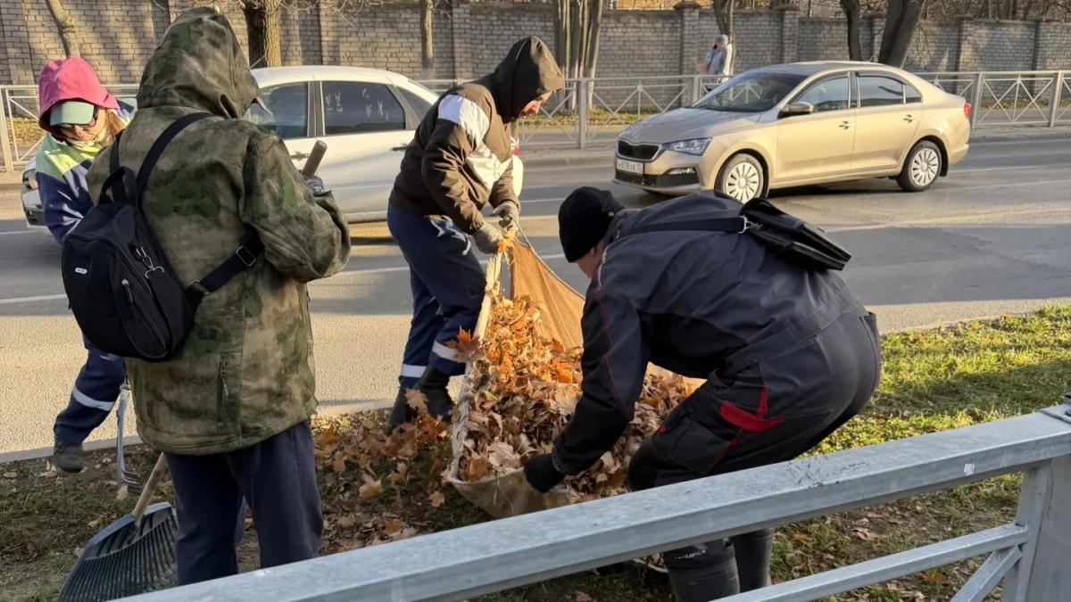Йошкар-Ола вывезла 800 кубометров опавшей листвы