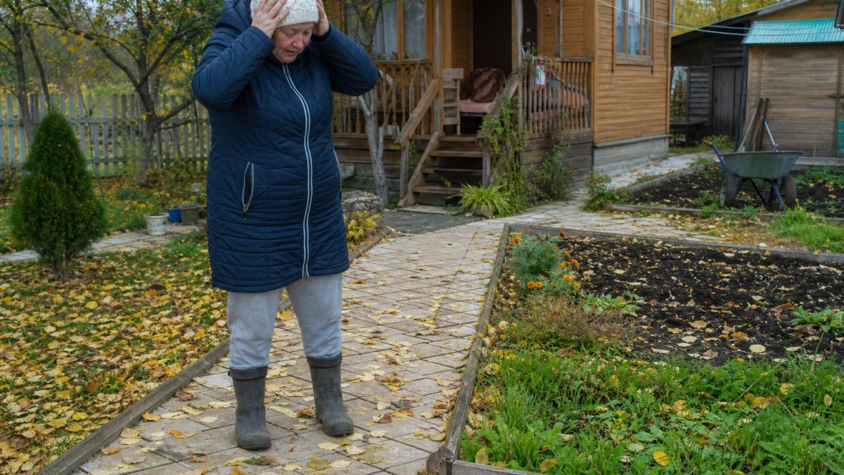 Один резкий запах обратит мышей в бегство: как защитить дачу от зимнего нашествия