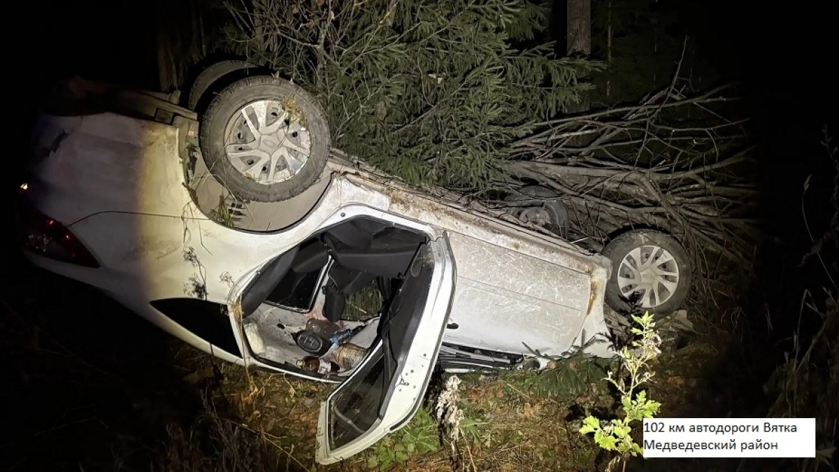 Два человека покалечились после аварии с лосем на Вятке
