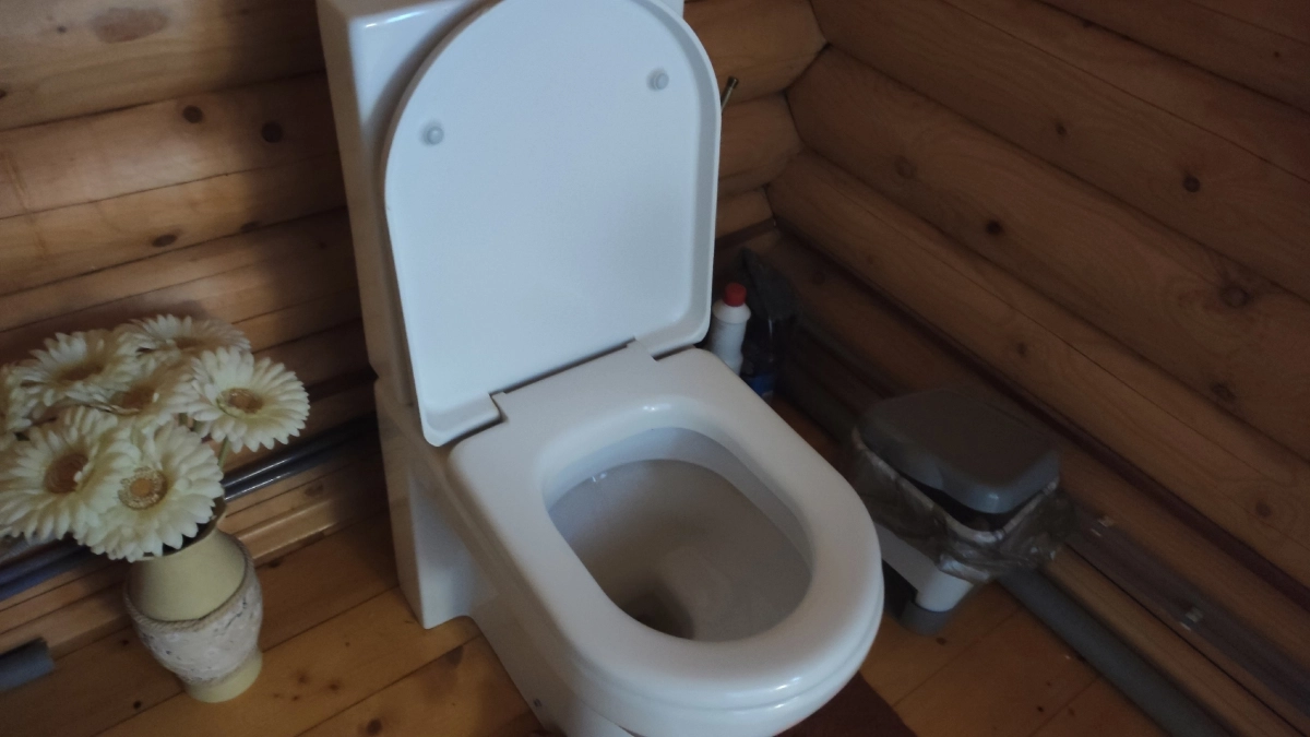 Сантехники поставили точку в вопросе: можно ли бросать туалетную бумагу в унитаз - даже при мощном сливе