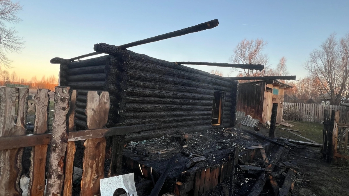 В Новоторъяльском районе соседи спасли спящую пару из горящего подворья