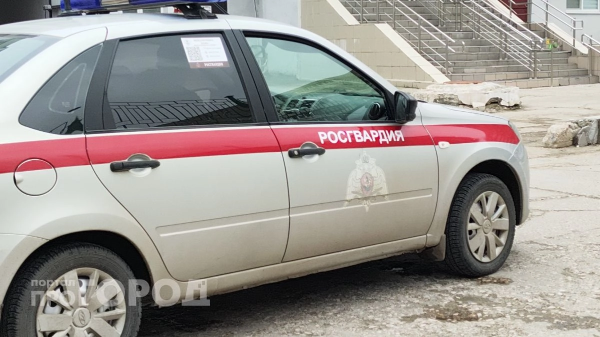 В Йошкар-Оле сотрудники Росгвардии скрутили дебошира прямо в торговом центре