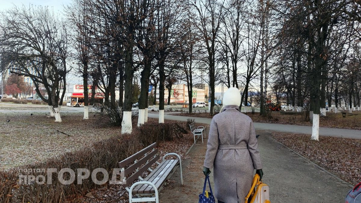 В Волжске чиновники лишили выплат мать десятерых детей с советским орденом