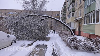 Дождь успокоится, зато заморозит до -7: апрель продолжит испытывать Марий Эл на прочность