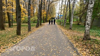 Почти три тысячи слегли с простудой: в Марий Эл выявили опасные штаммы гриппа