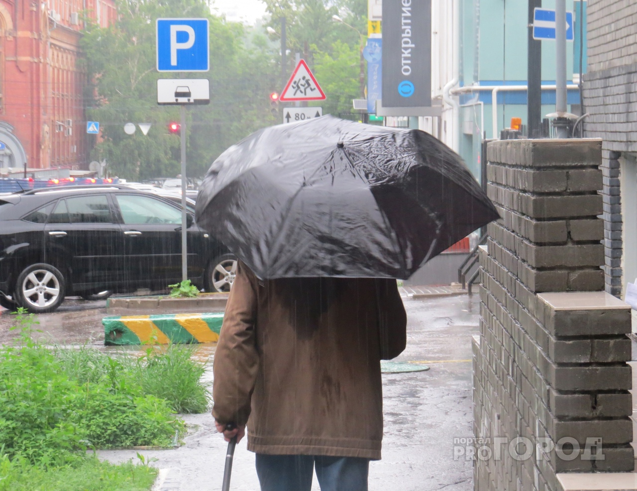 «Декабрьские дожди»: в Йошкар-Оле сохраняется плюсовая температура