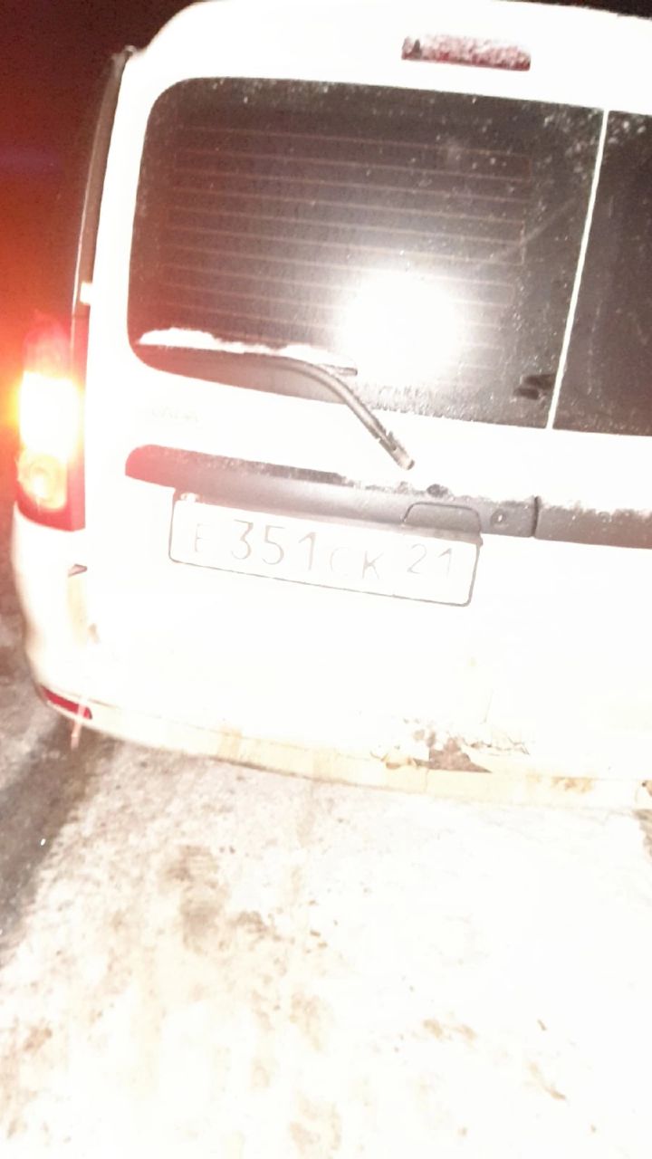 В Марий Эл на кокшайском тракте произошло столкновение авто с лосем