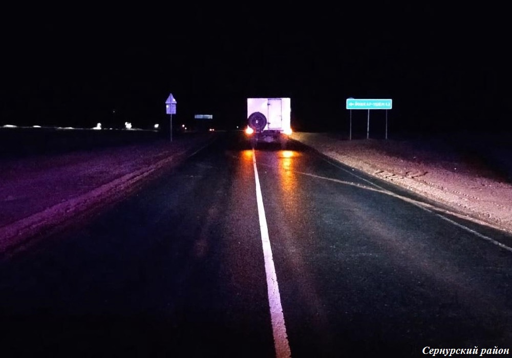 В Марий Эл идущий по дороге 49-летний мужчина попал под колеса фургона ГАЗ