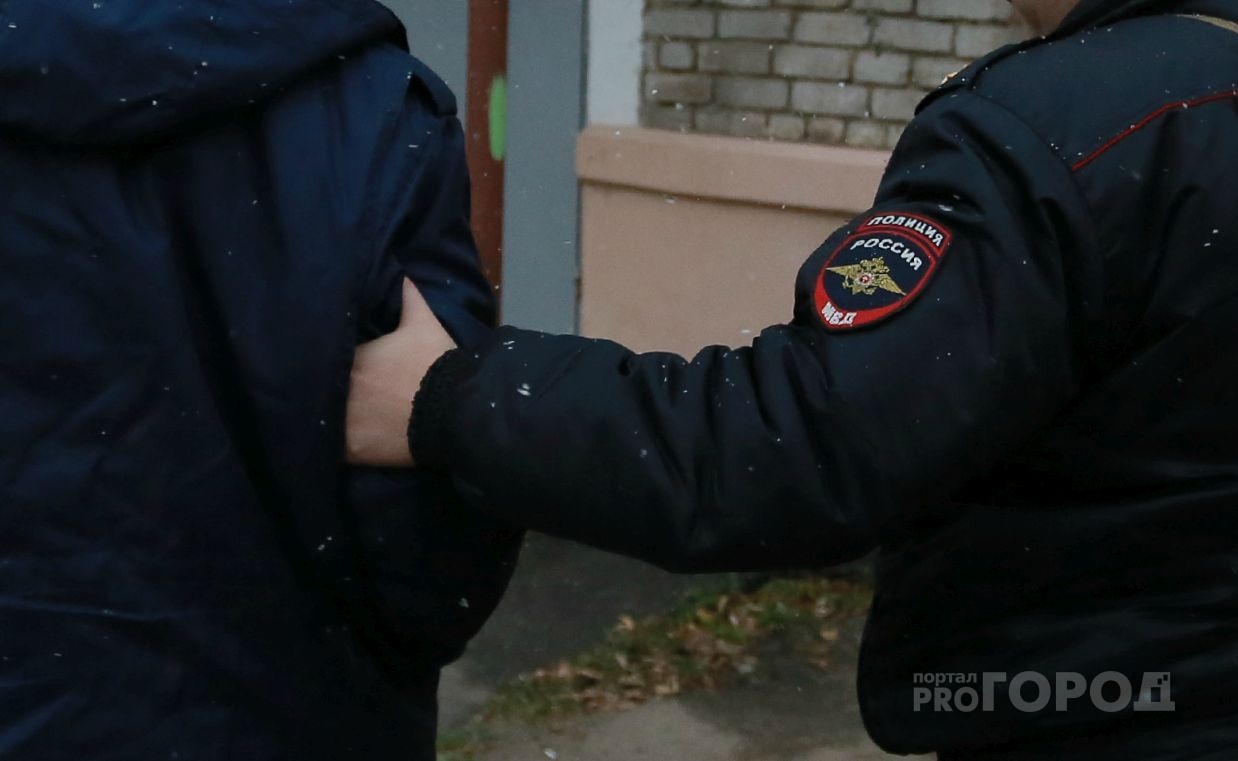Волжанин заплатит 100 тысяч рублей штрафа за нападение на полицейского