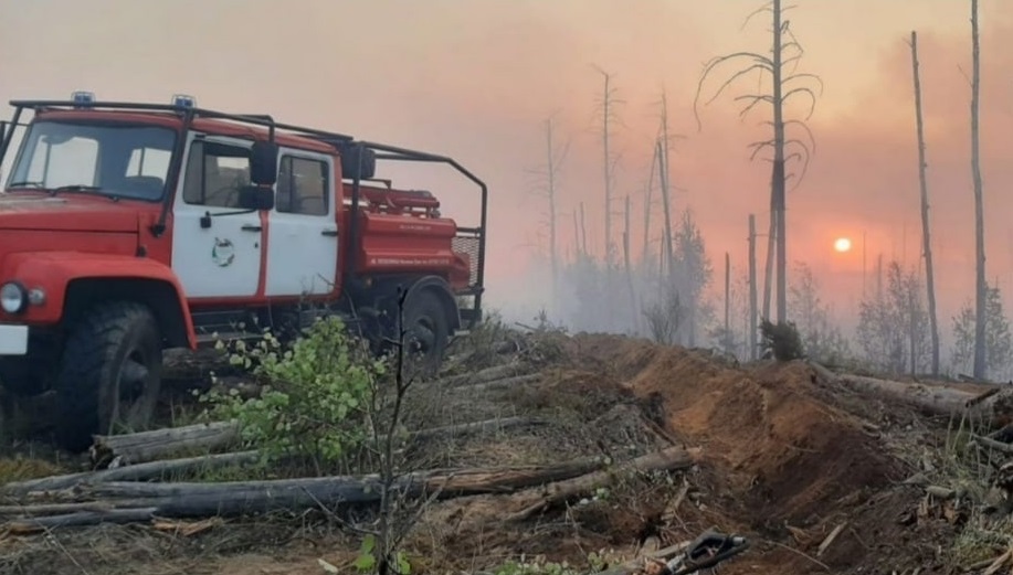 В Марий Эл произошел 31 лесной пожар 