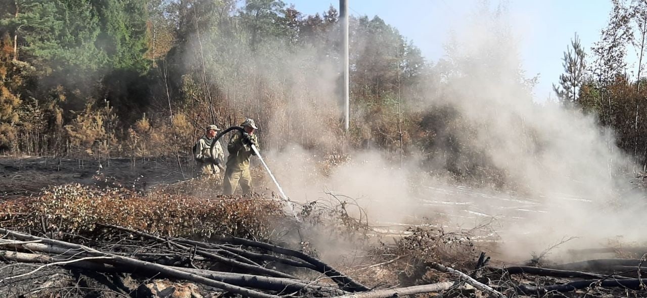 Лесам Медведевского района угрожают пожары