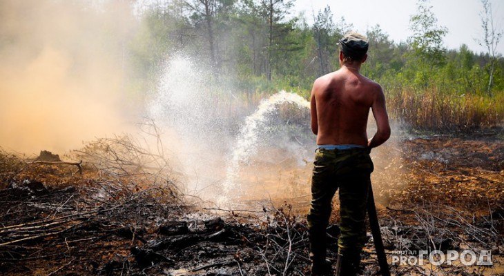 В лесах Марий Эл из-за жары ожидается высокая пожароопасность