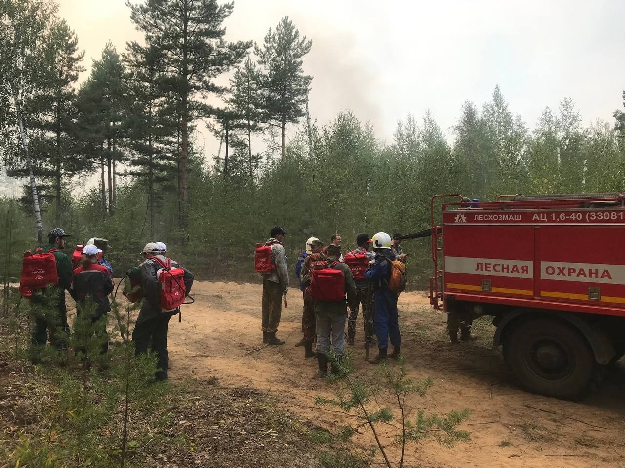 На границе Нижегородской области и Марий Эл борются с лесным пожаром