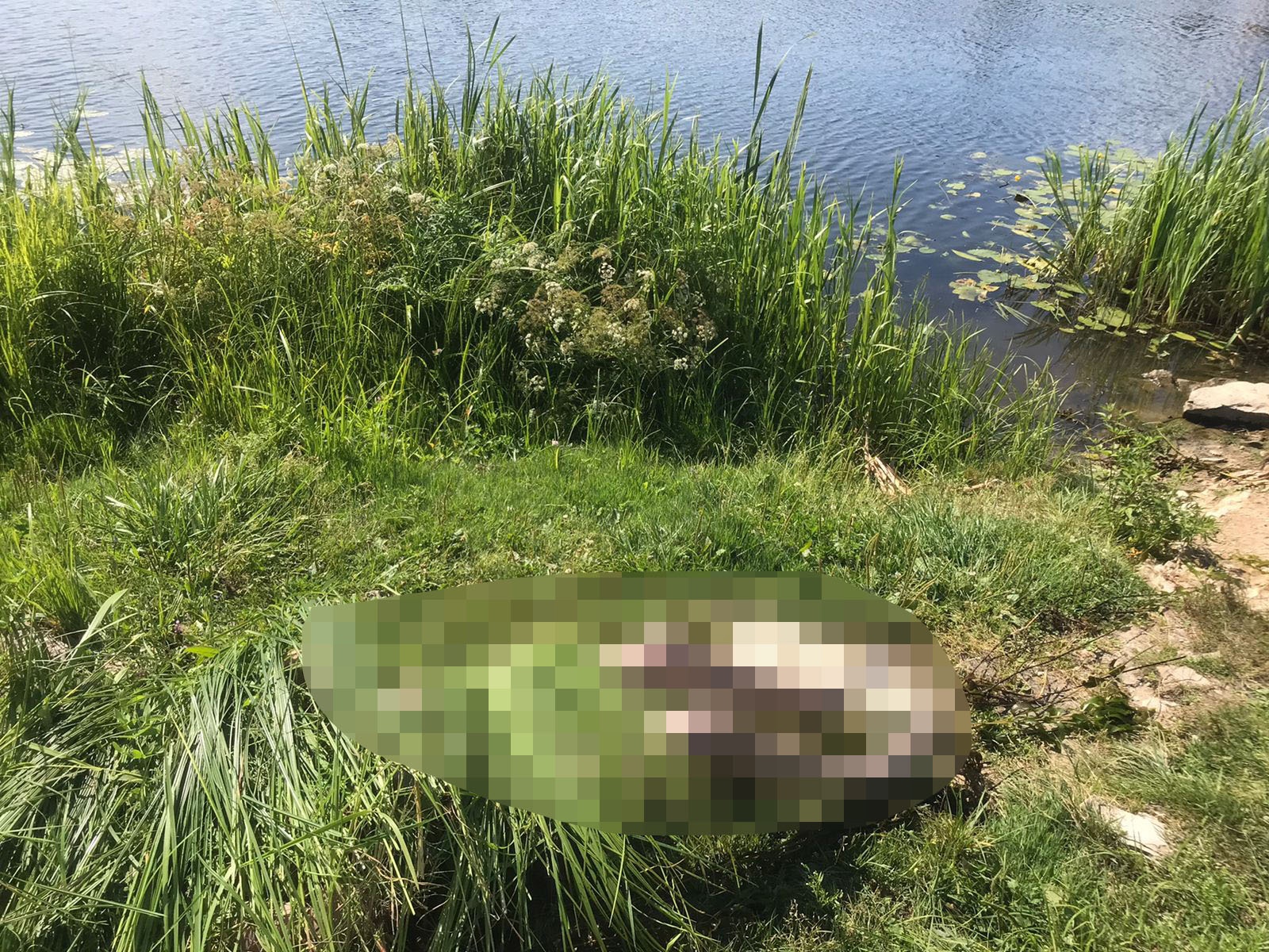 Следователи выясняют обстоятельства гибели юноши в реке Йошкар-Олы
