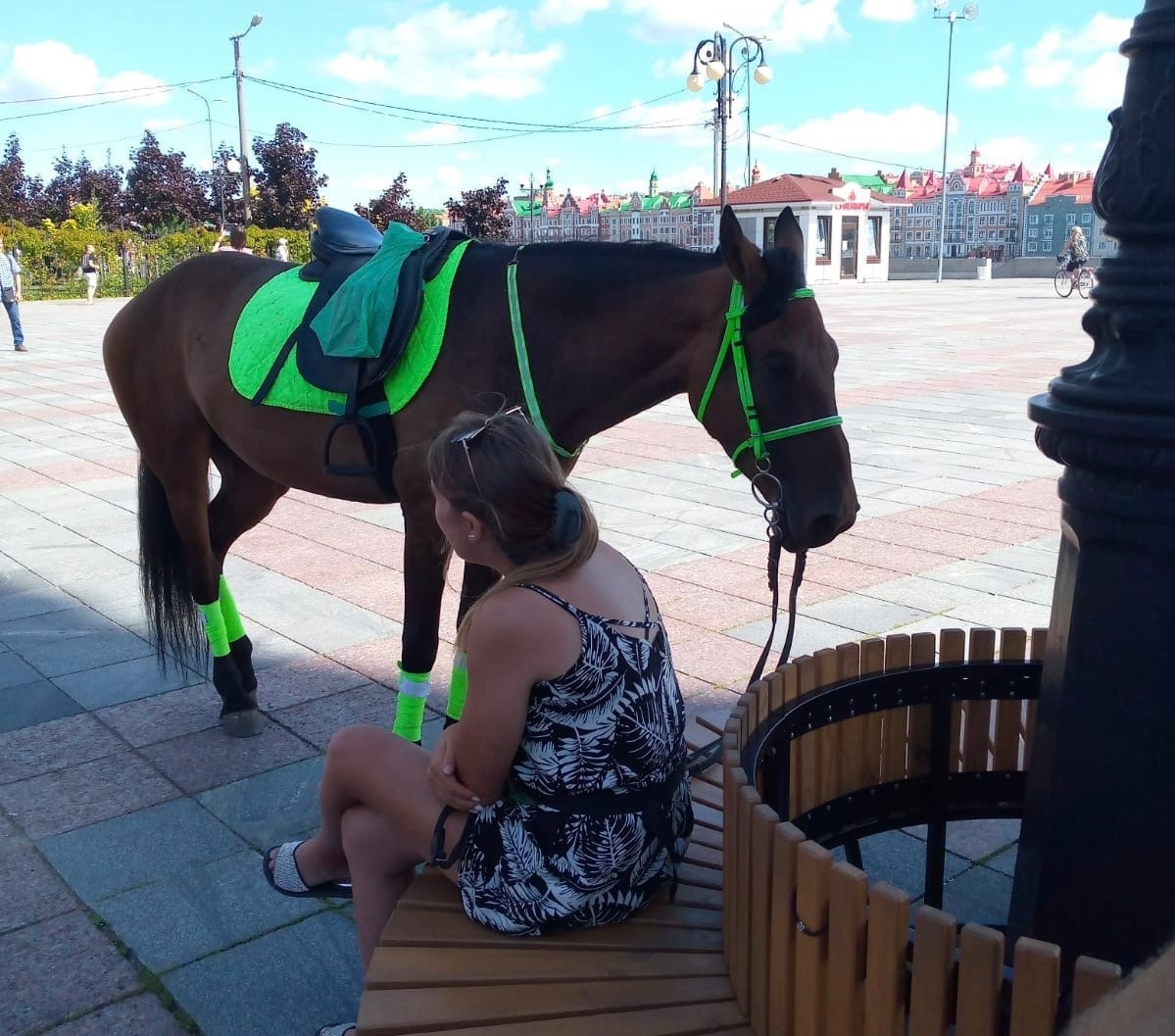 Владельцам грозит штраф за выгул лошадей на набережной Йошкар-Олы