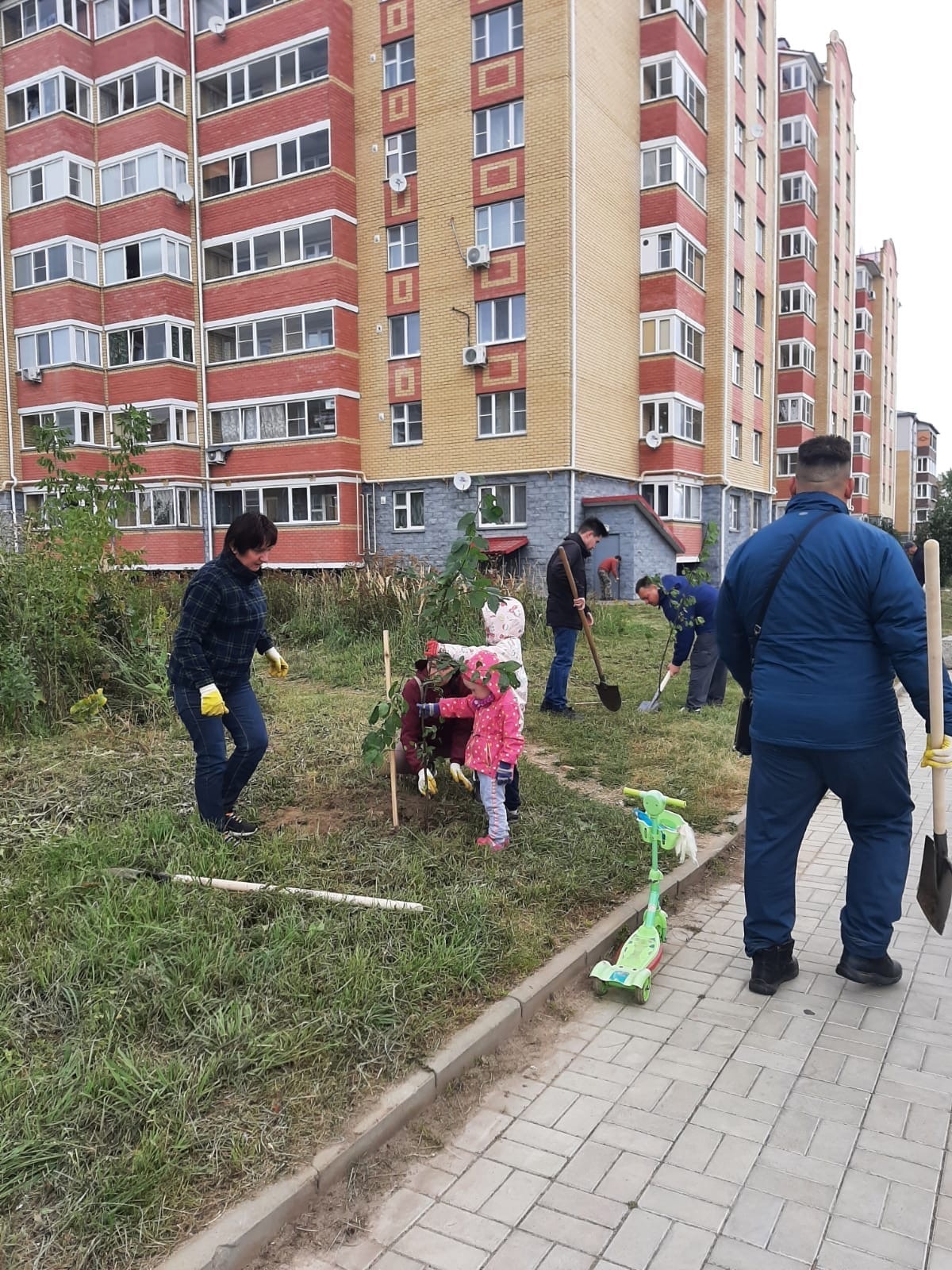 В микрорайоне «Интеграл» высадили липы и черемуху 