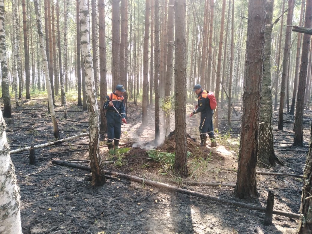 Неравнодушные жители республики помогают огнеборцам тушить пожары