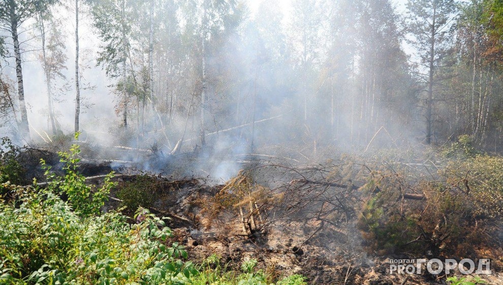 В Марий Эл снова появилась угроза возникновения лесных пожаров