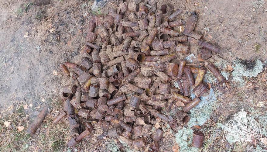 В марийских лесах нашли склад с боеприпасами